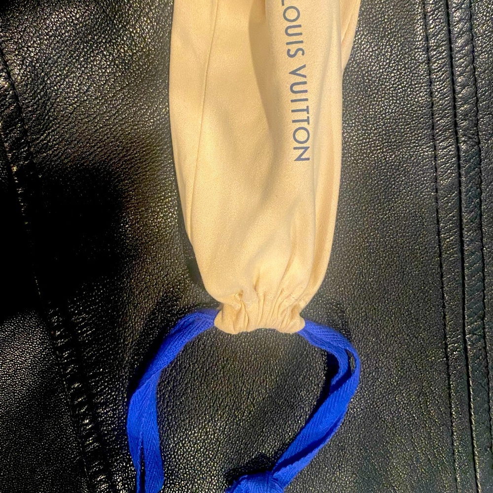 Z1723E
LV Fame Cat Eye Sunglasses